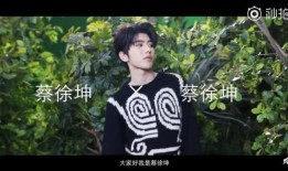 谁爆料蔡徐坤了视频,真相究竟如何？