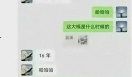 公务员美女被爆料视频,真相与争议